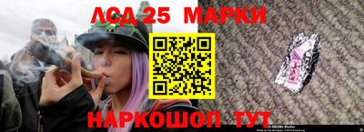 индика Ливны