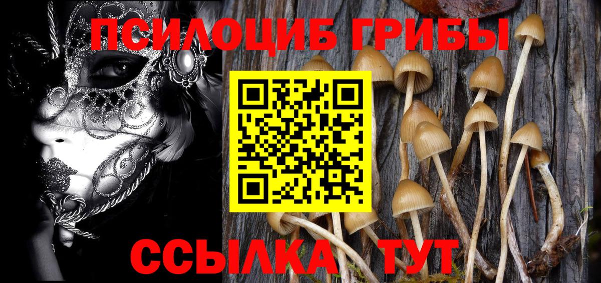 Галлюциногенные грибы ЛСД  Вход с VPN  Златоуст 